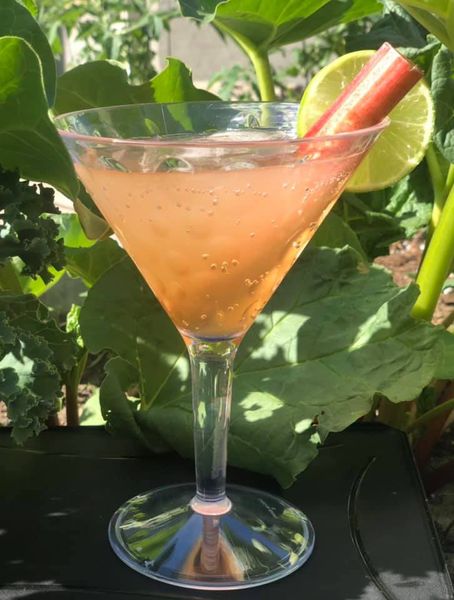 Rhubarb Gin & Tonic