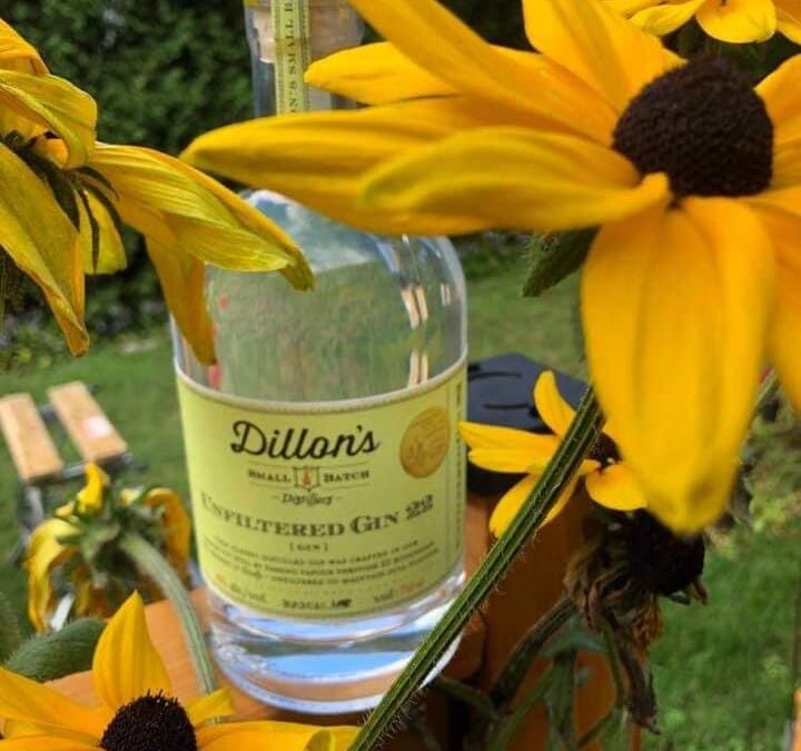 Dillon’s Unfiltered Gin 22