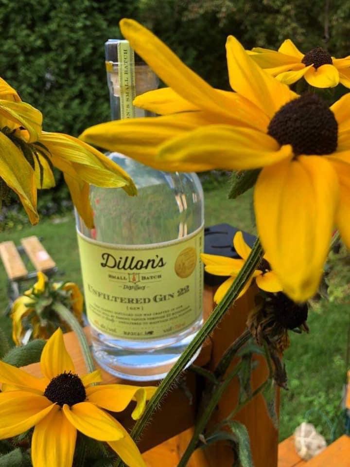 Dillon’s Unfiltered Gin 22