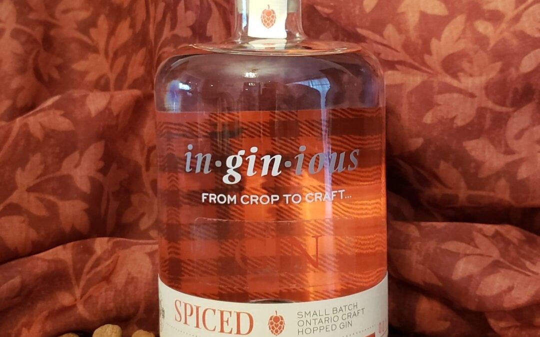 In.gin.ious Spiced