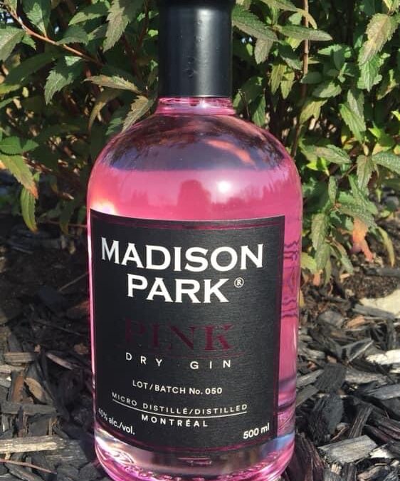 Madison Park Pink