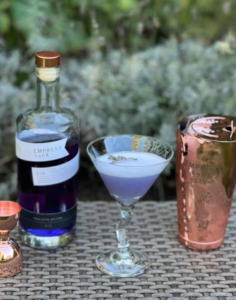 Lavender Gin Sour