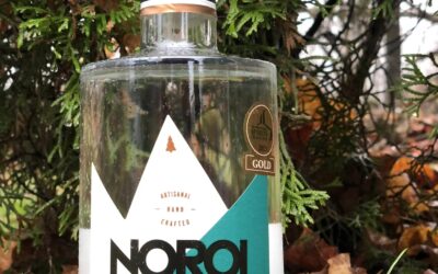 Noroi Boréal Dry Gin