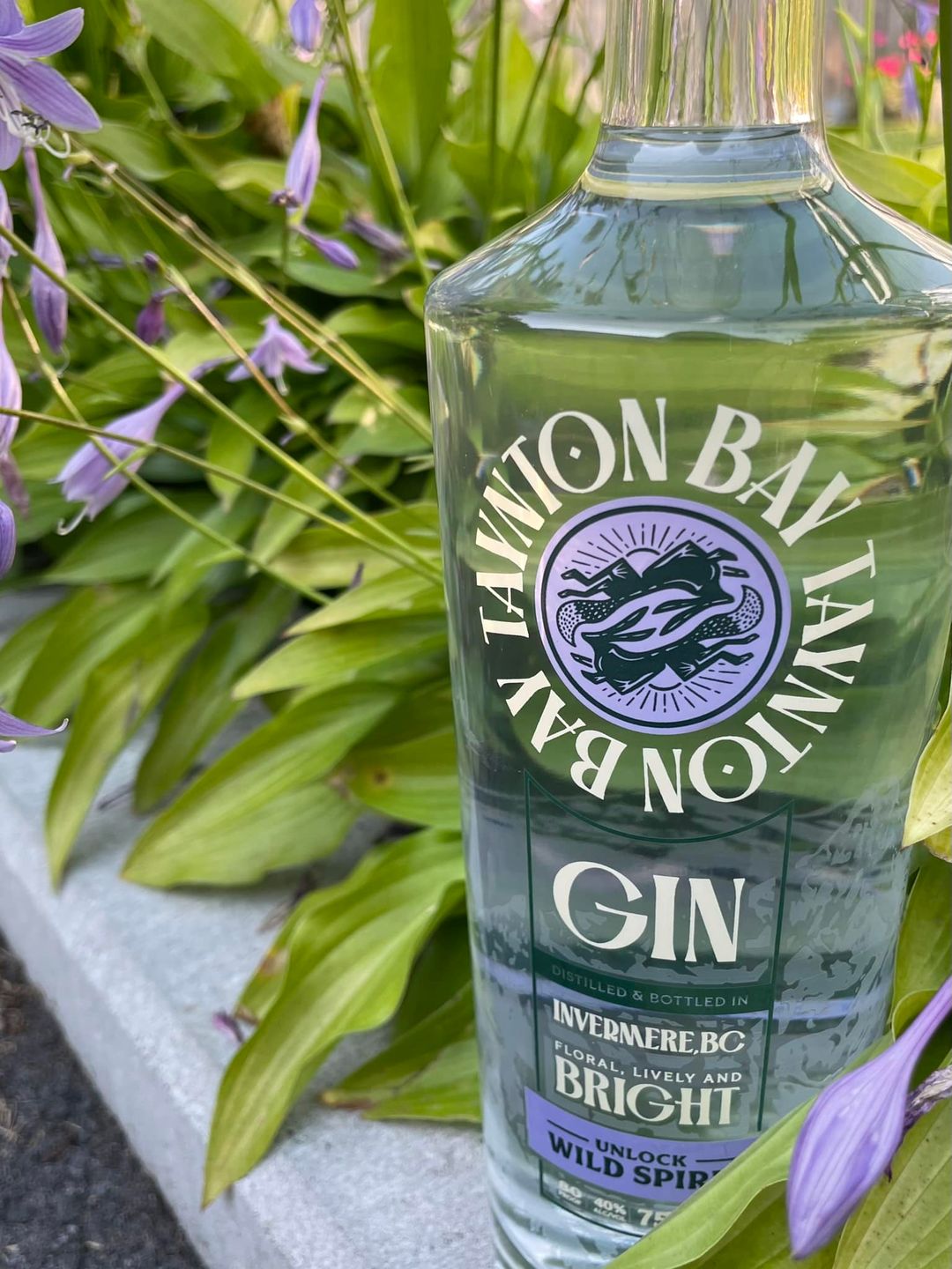 Taynton Bay Gin