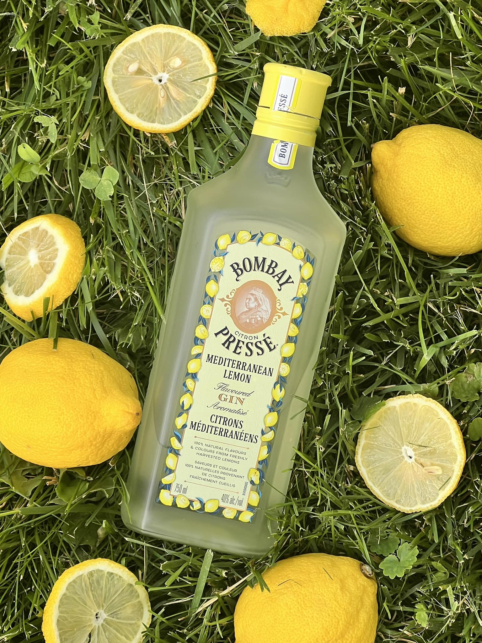 Bombay Citron Pressé