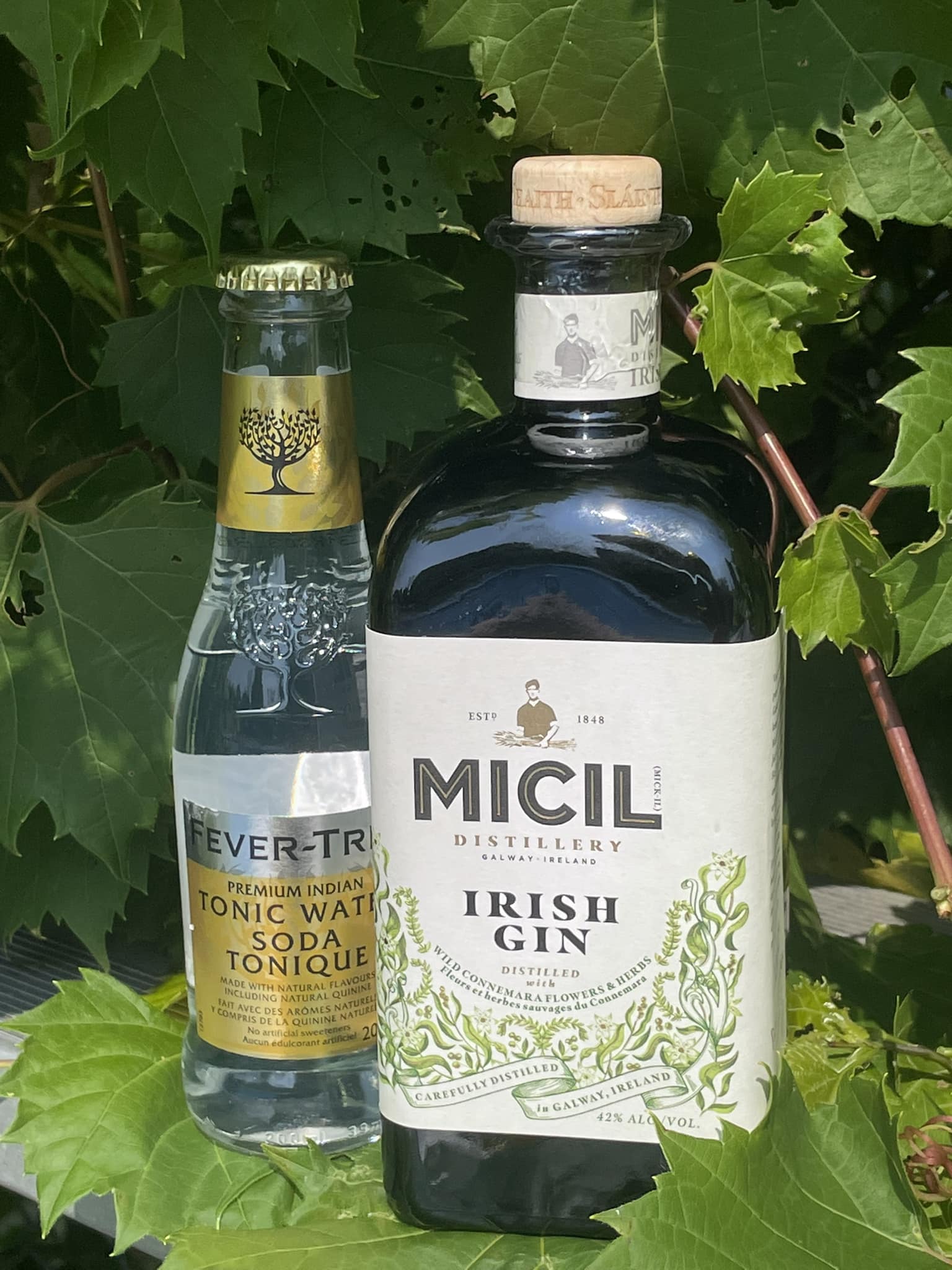 Micil Irish Gin