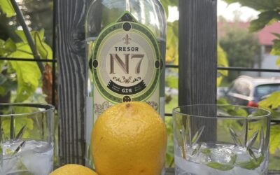 Tresor No7 Gin Basilic Citron