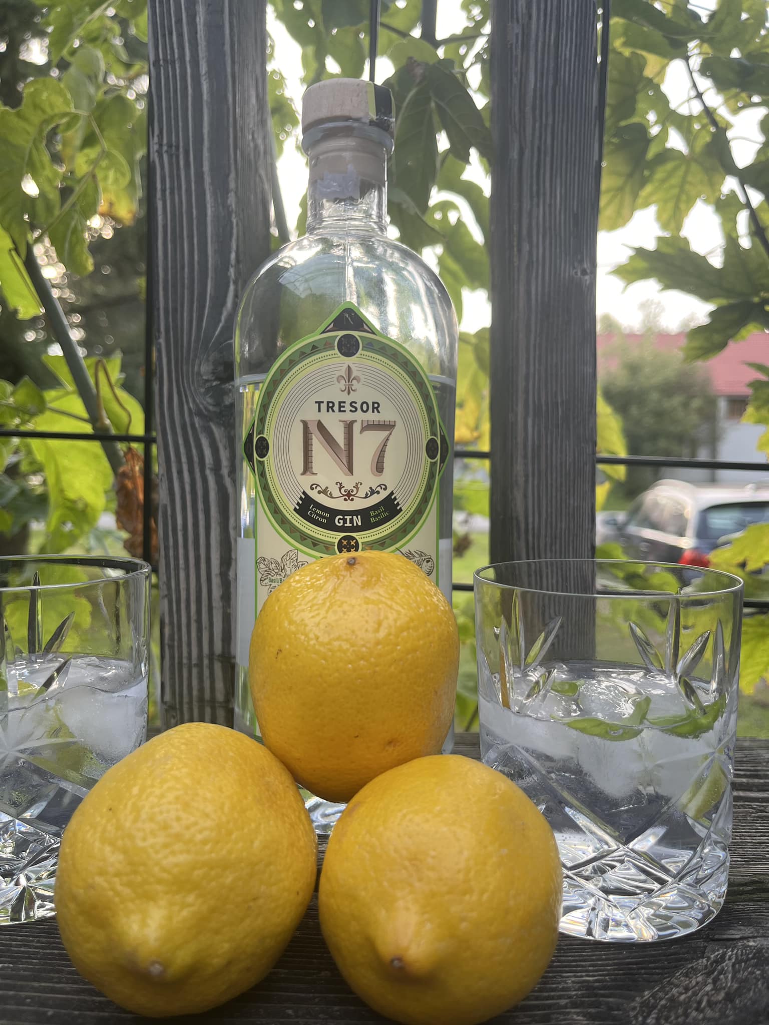 Tresor No7 Gin Basilic Citron