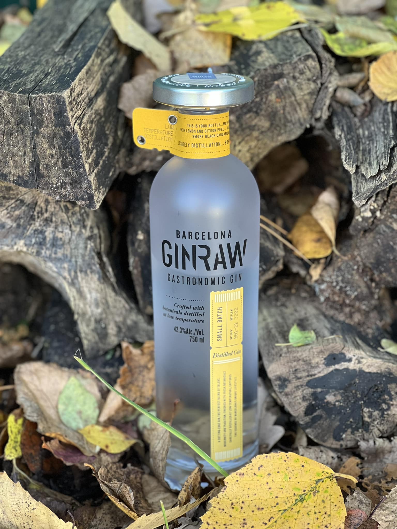 Ginraw Gastronomic Gin