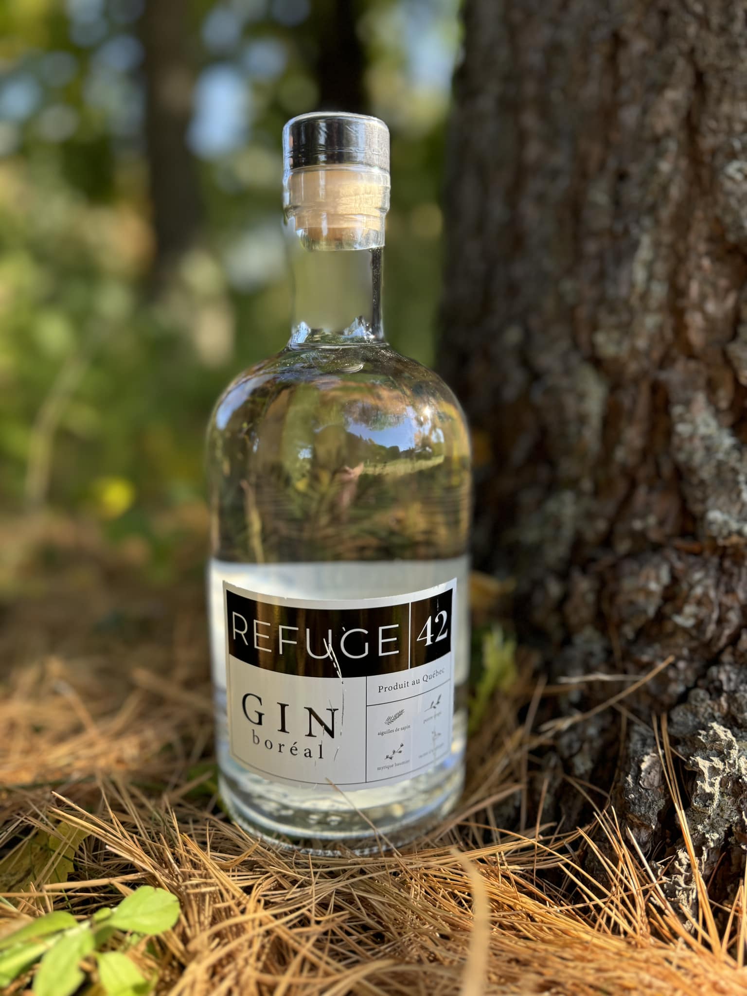 Refuge 42 Boreal Dry Gin