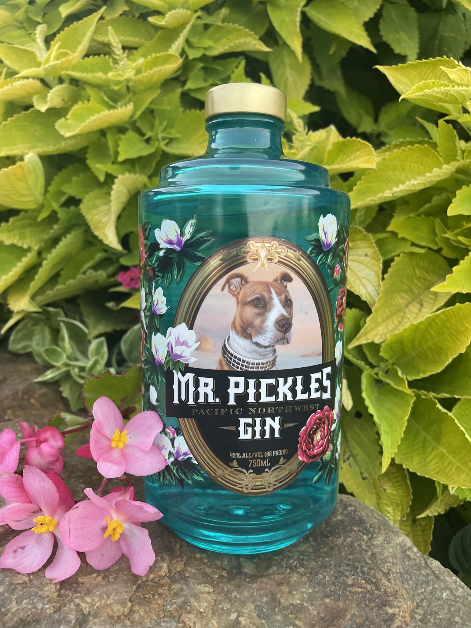 Mr. Pickles Pacific Northwest Gin