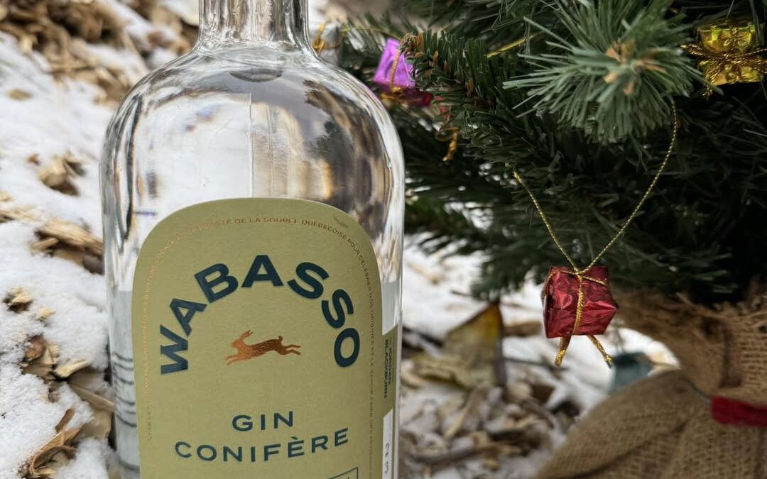 Wabasso Gin Conifère