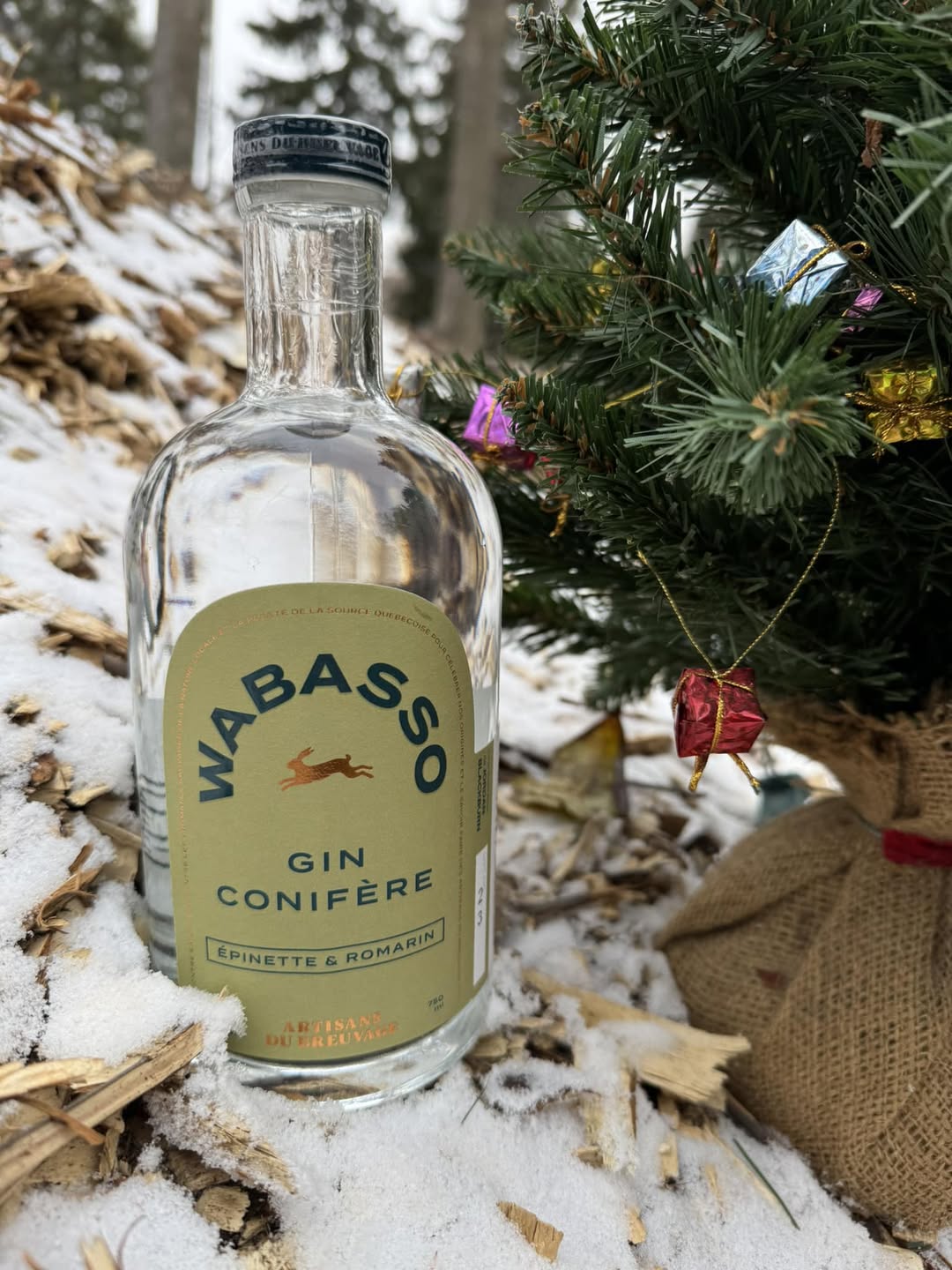 Wabasso Gin Conifère