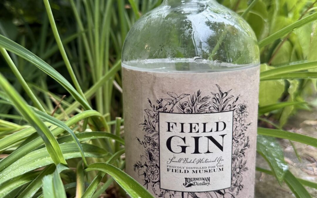 Journeyman Field Gin