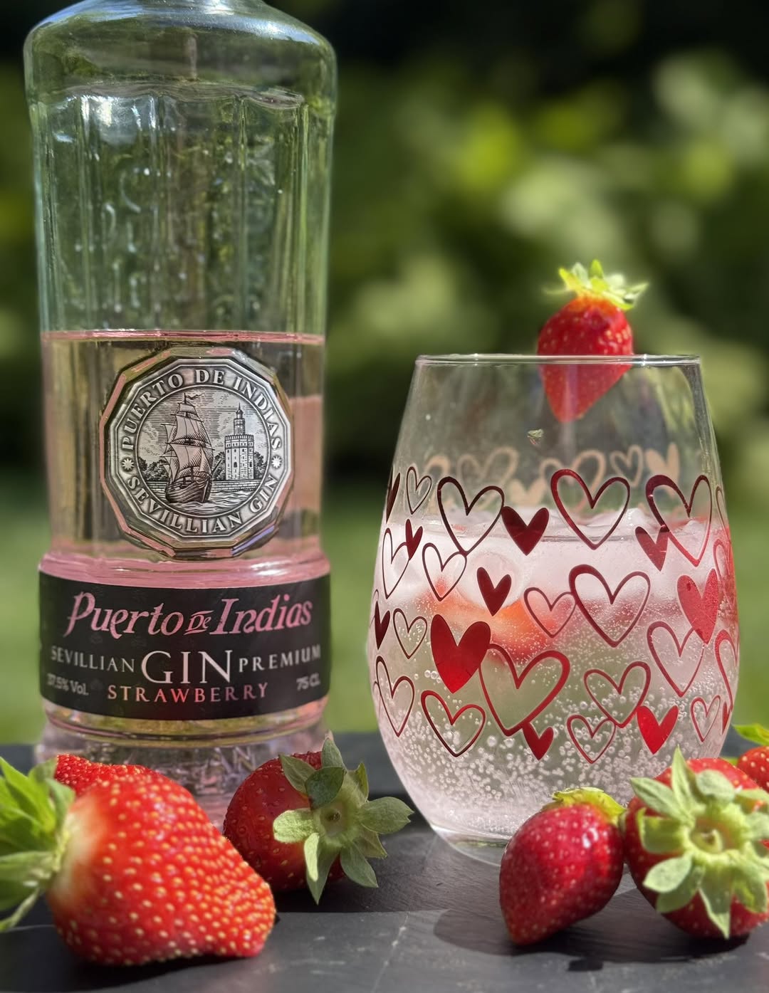 Puerto de Indias Strawberry Gin
