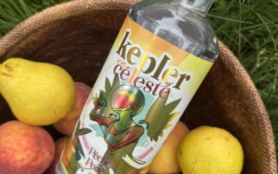Kepler Céleste