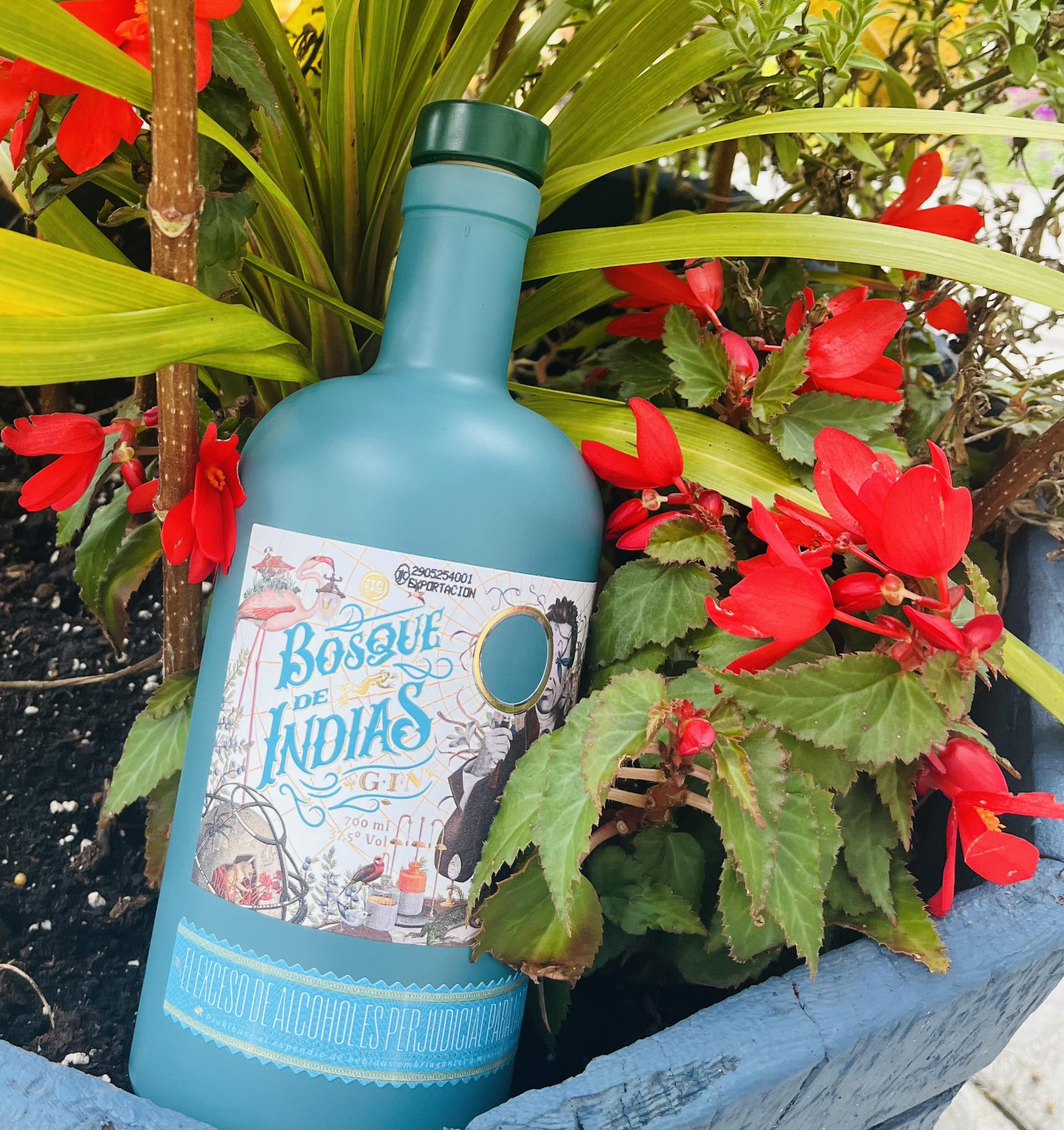 Bosque de Indias Gin