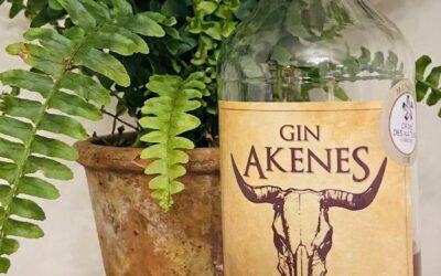 Gin Akenes