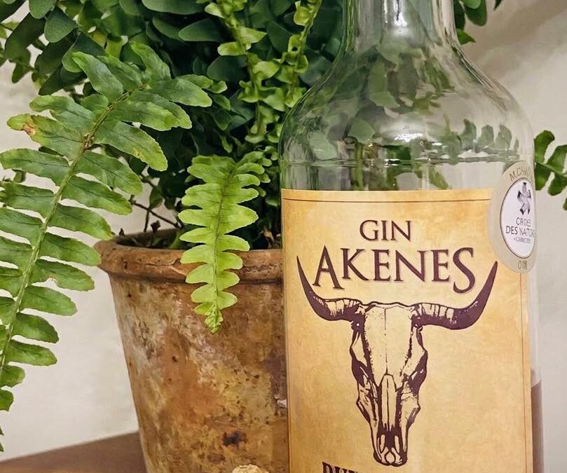 Gin Akenes