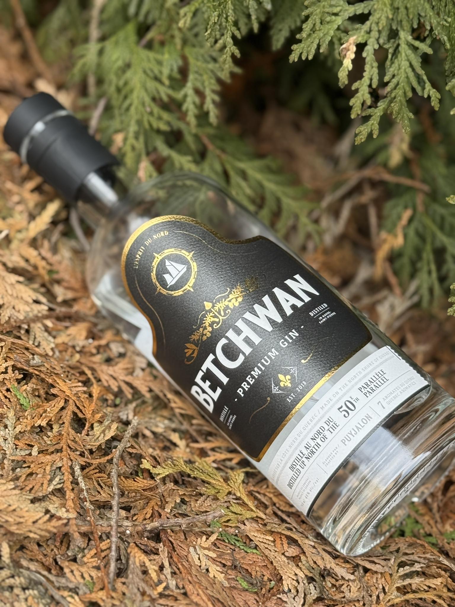 Betchwan Distillerie Puyjalon 