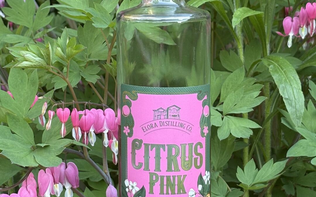 Citrus Pink Gin (Elora Distilling)