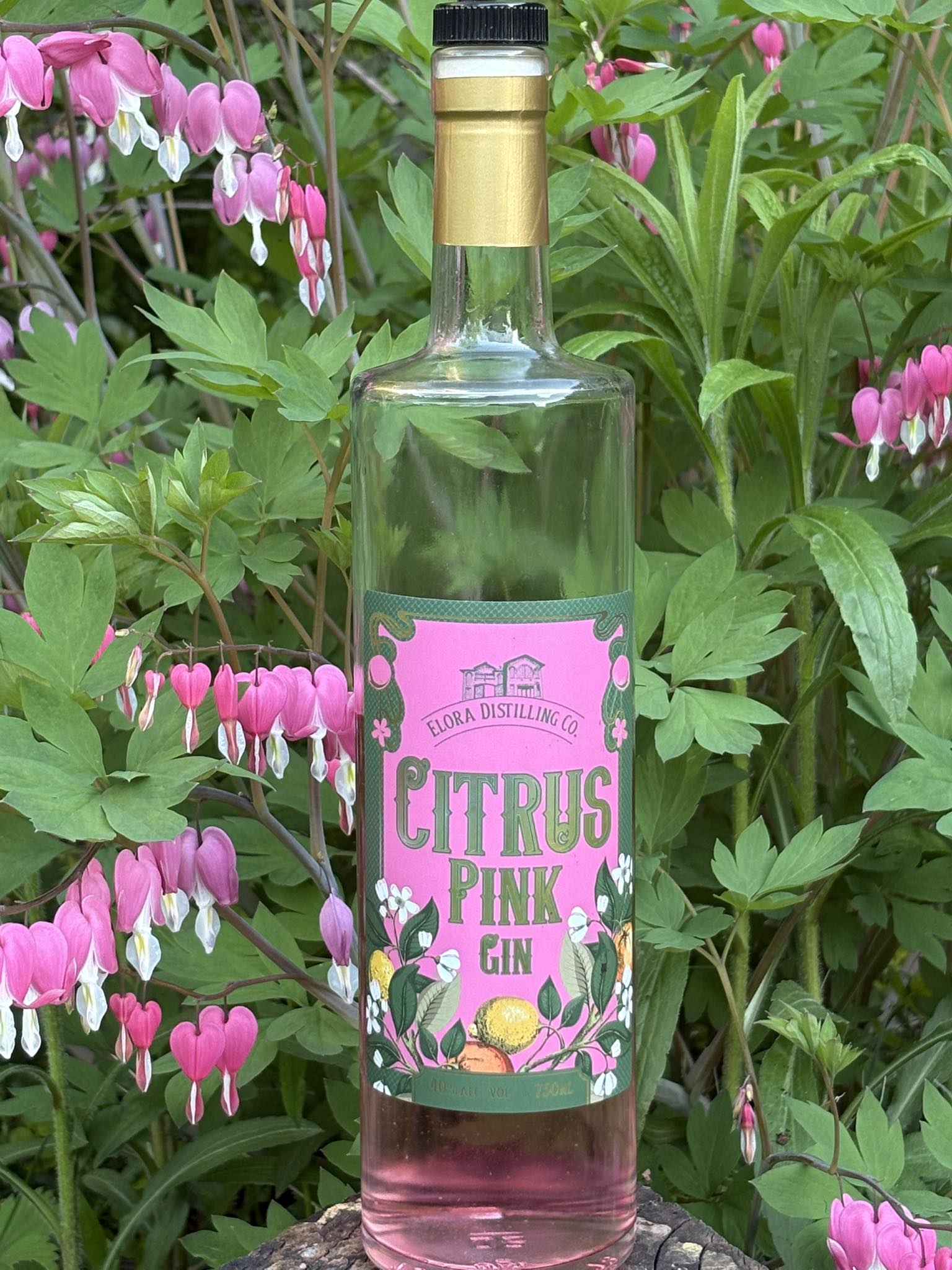 Citrus Pink Gin (Elora Distilling)