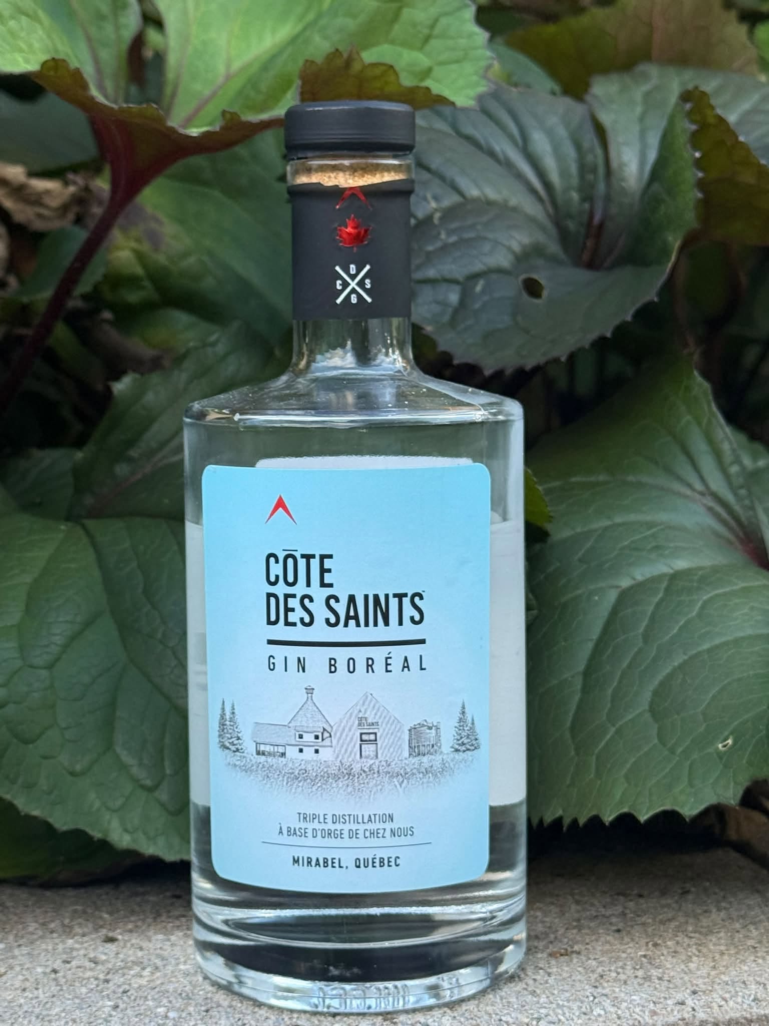 Cōte des Saints Gin Boréal